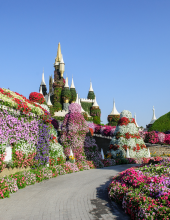 Karta za Disneyland (jedan dan, jedan park)