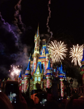 Ulaznica za Disneyland za 4 dana 2 parka