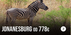 avio-karte-beograd-johanesburg avio-karte-beograd-johanesburg