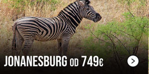 avio-karte-beograd-johanesburg avio-karte-beograd-johanesburg