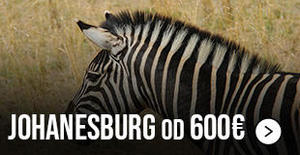 avio-karte-beograd-johanesburg avio-karte-beograd-johanesburg