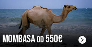 avio-karte-beograd-mombasa avio-karte-beograd-mombasa