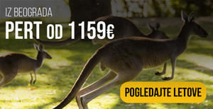 avio-karte-beograd-pert avio-karte-beograd-pert