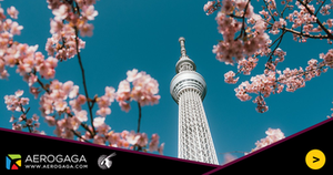 avio-karte-beograd-tokio avio-karte-beograd-tokio