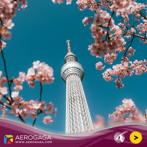 avio-karte-beograd-tokio avio-karte-beograd-tokio