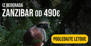 avio-karte-beograd-zanzibar avio-karte-beograd-zanzibar