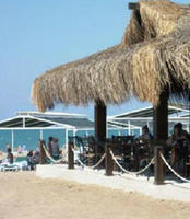 ic-green-palace-plaza-bar
